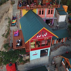 One Tree Hill - Hostel